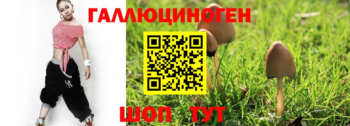 Галлюциногенные грибы Psilocybine cubensis  Вход с VPN  Галлюциногенные грибы Cubensis  Черкесск 